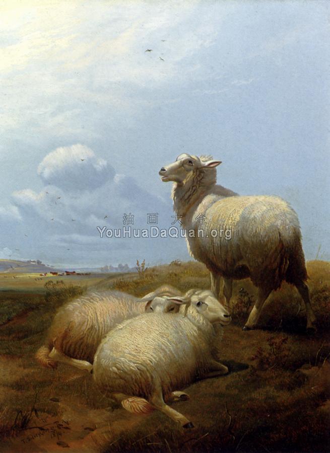 Sheep At Pasture - 托马斯·辛德尼·库珀